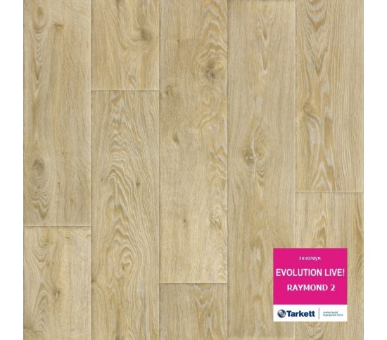 Лінолеум TARKETT Evolution Live Raymond (Раймонд Преміум) 2 - Висока якість за найкращою ціною в Україні